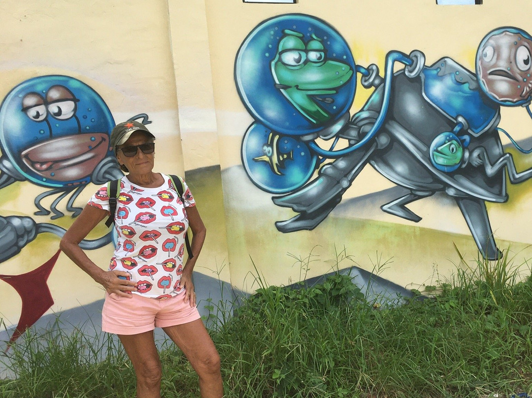 Parrots Boutique Resort