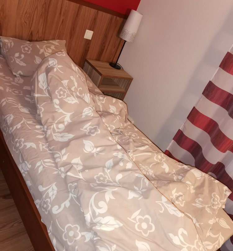 Zarechnaya Hotel主图