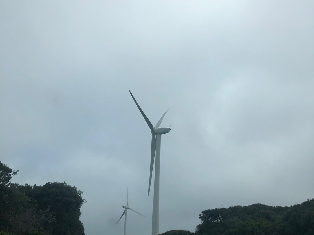 Cape Bridgewater Wind Farm-Cape Bridgewater必去景点