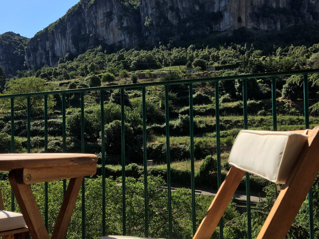 B&B Taccu Maccu主图