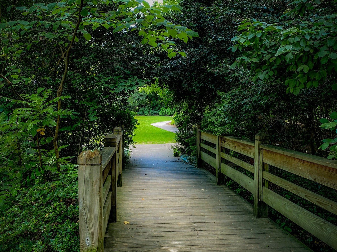 The Greensboro Arboretum景点图片