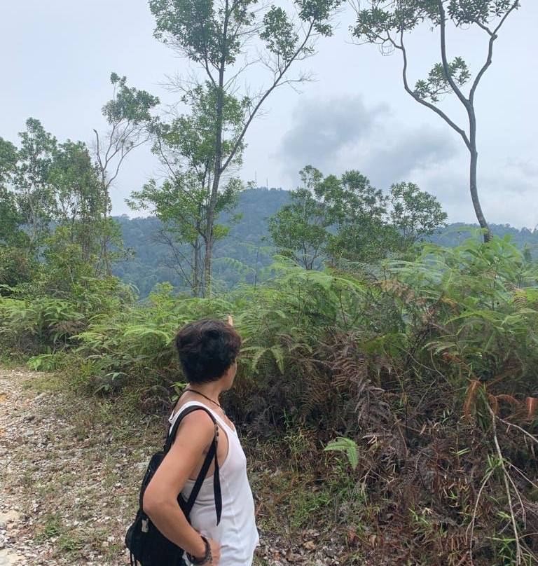 Bukit Kledang-怡保必去景点