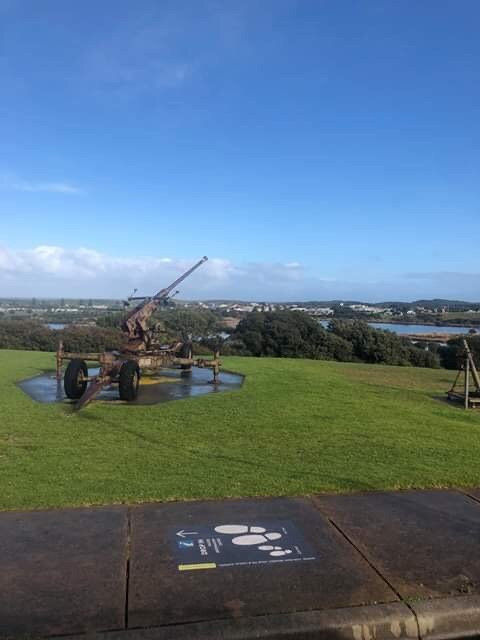 Cannon Hill Lookout-瓦南布尔必去景点