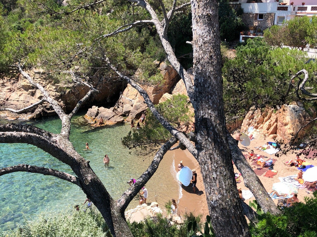 Platja Fonda景点图片