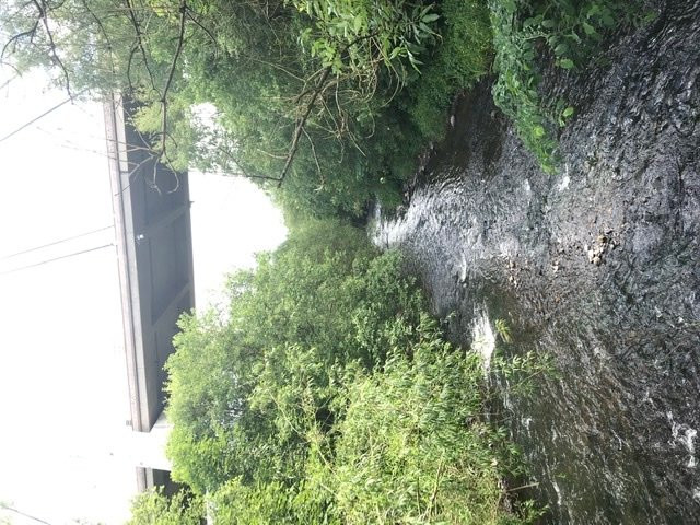 Riverside Park-Glenrothes必去景点