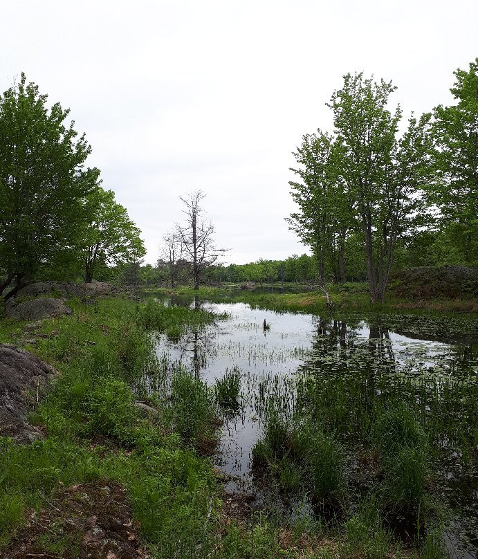 Frontenac Provincial Park-Verona必去景点