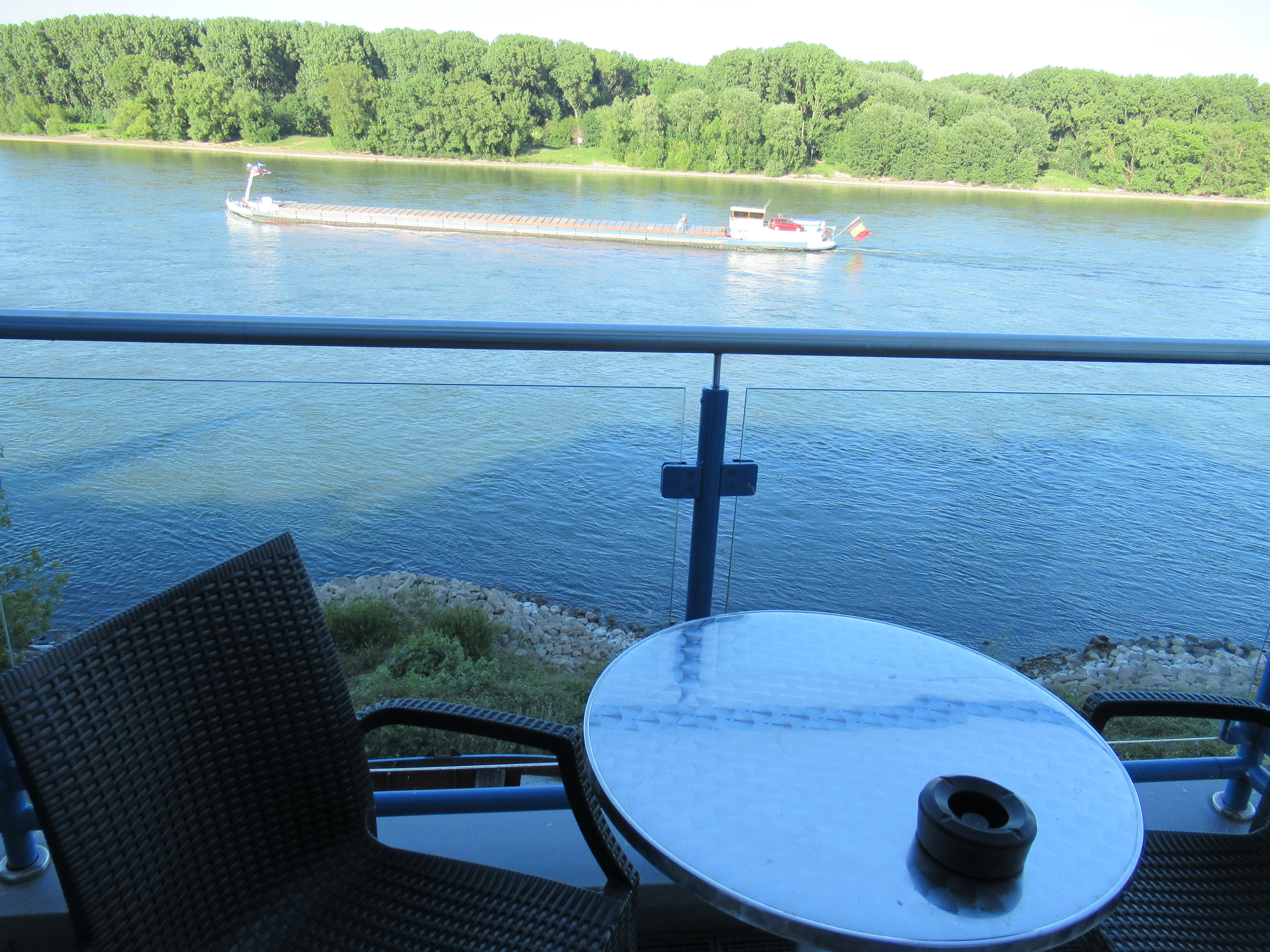 hotel - cafe - restaurant RHEINTERRASSEN-酒店景观