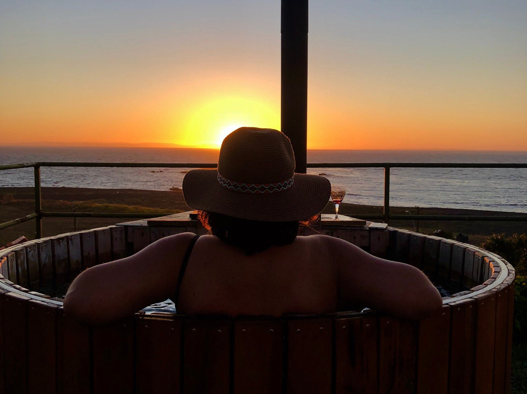 Hostal Altos del Maule主图