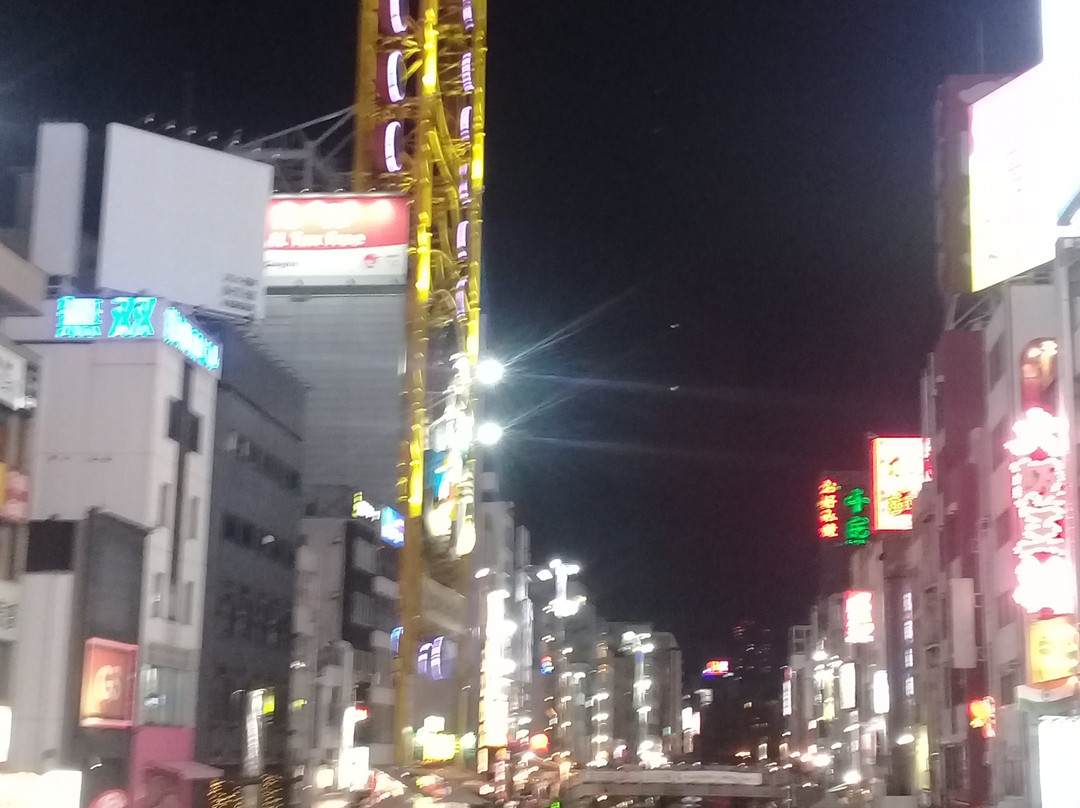 Dotombori Bridge-Dotombori必去景点