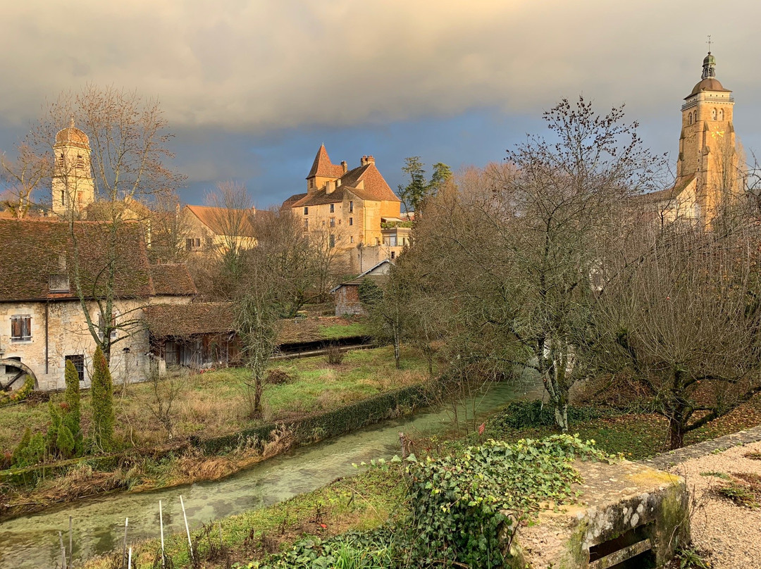 Logis Hotel des Messageries Arbois主图