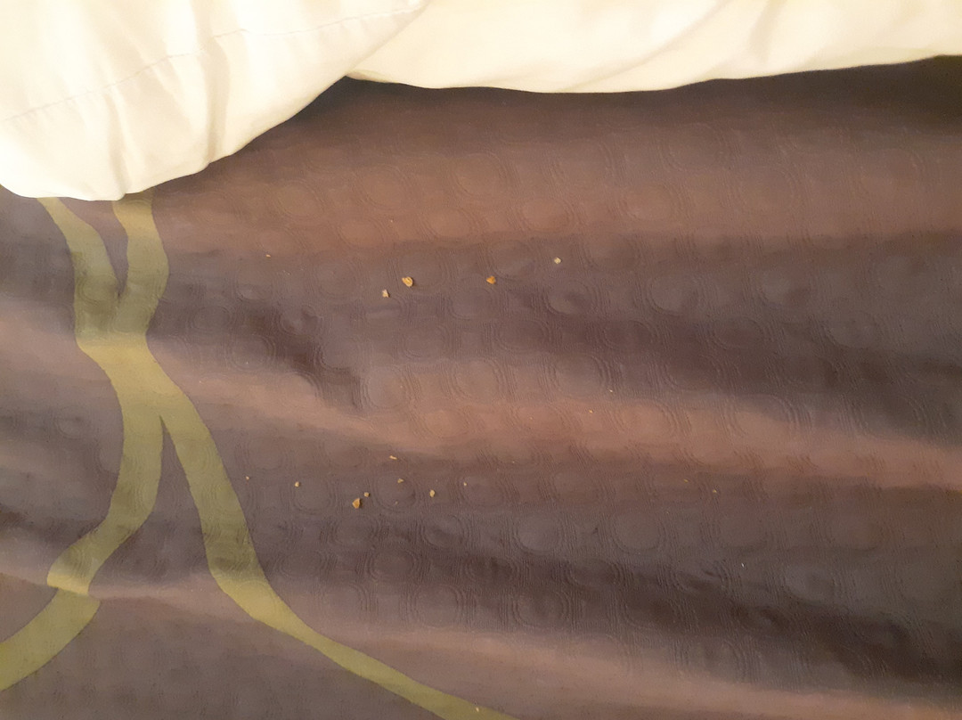 Super 8 By Wyndham Mound City主图