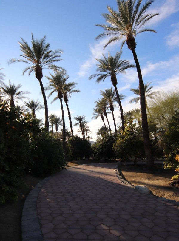 Shields Date Garden-印第奥必去景点