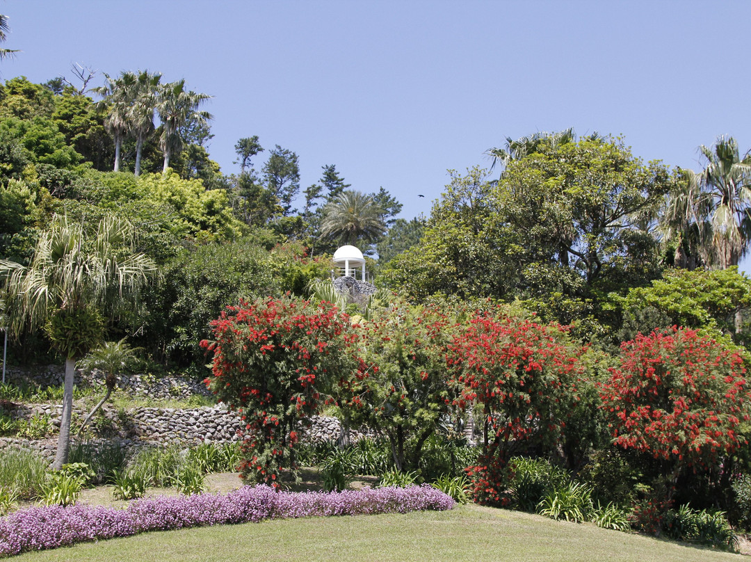 Flower Park Kagoshima-指宿市必去景点