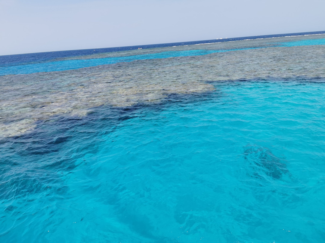 Sataya Dolphin Reef景点图片