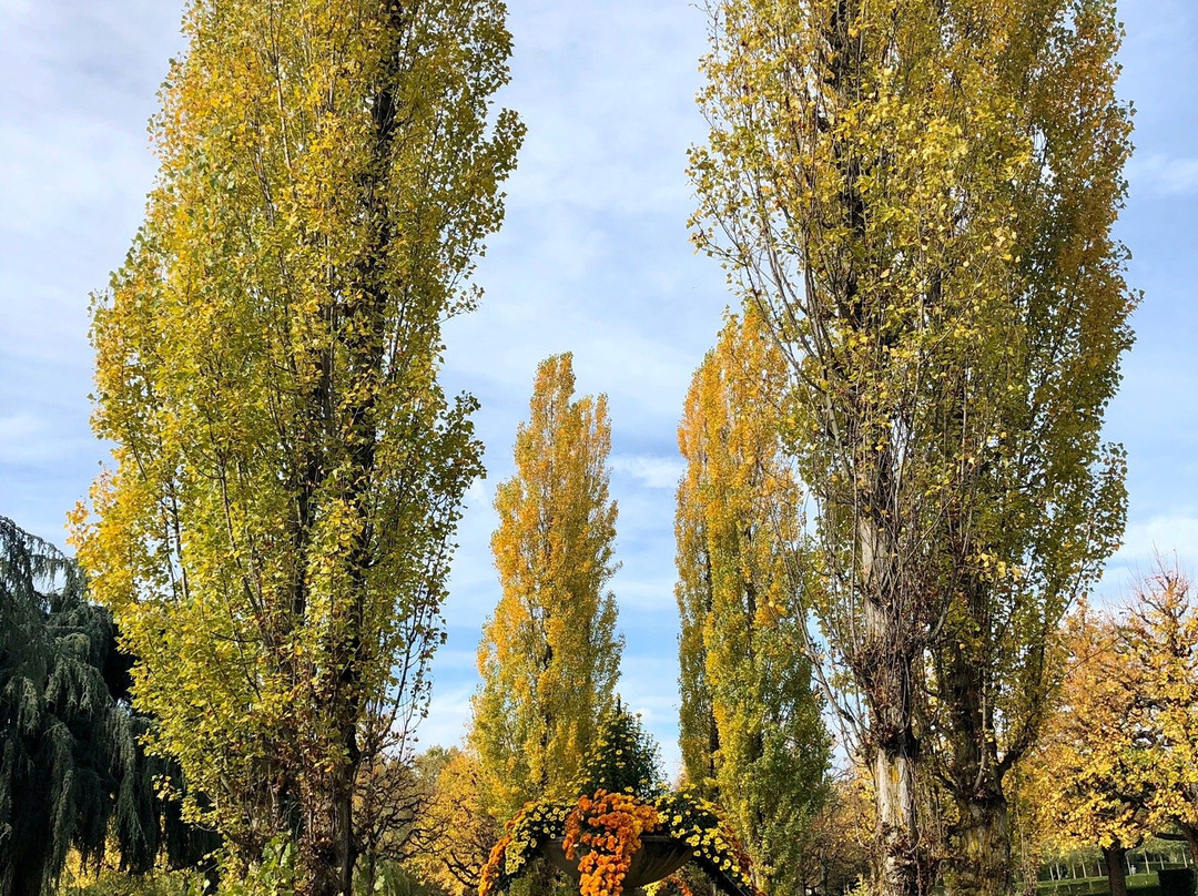 Cimetiere du Bois-de-Vaux-洛桑必去景点
