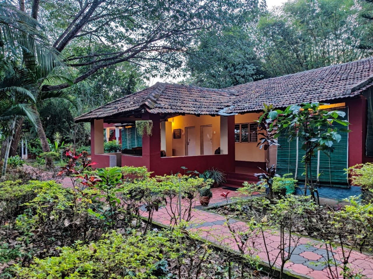 Jungle Inn-官方