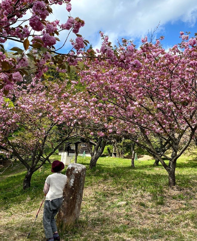 Eboshi Park-丰后大野市必去景点
