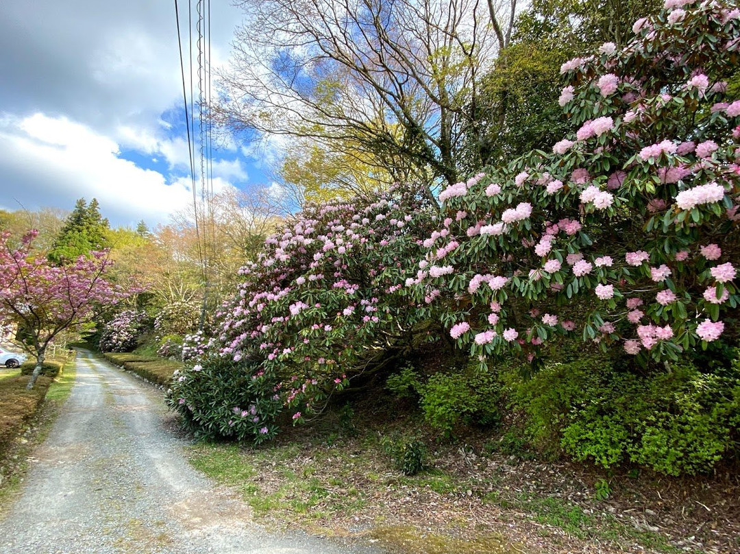 Jinkakuji Temple-丰后大野市必去景点