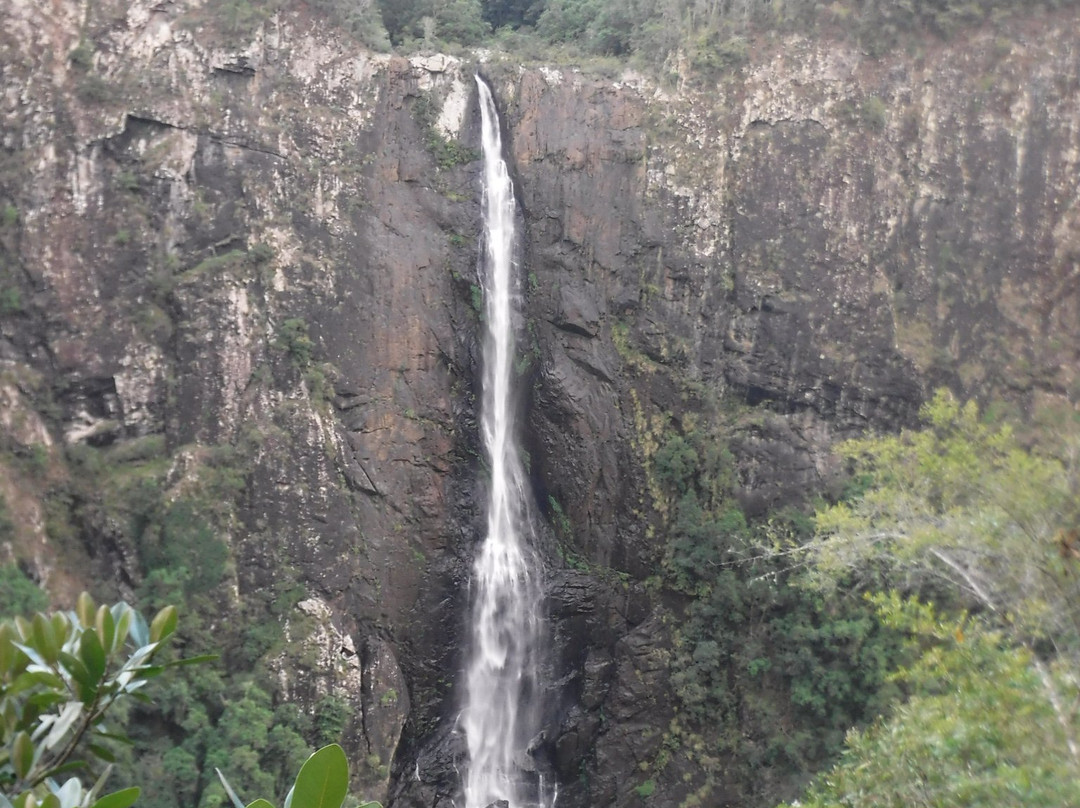 Ellenborough Falls-Elands必去景点