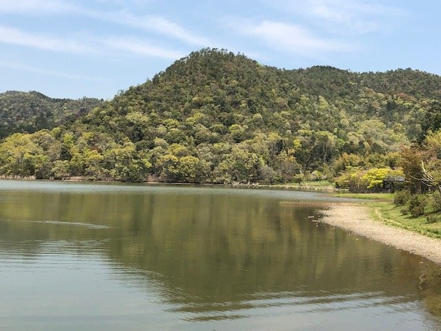 Hirosawa Pond景点图片