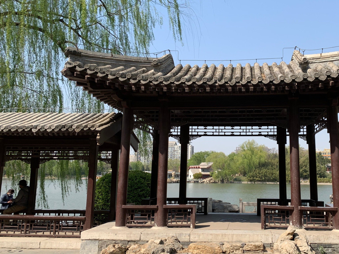 紫竹院公园-北京市必去景点