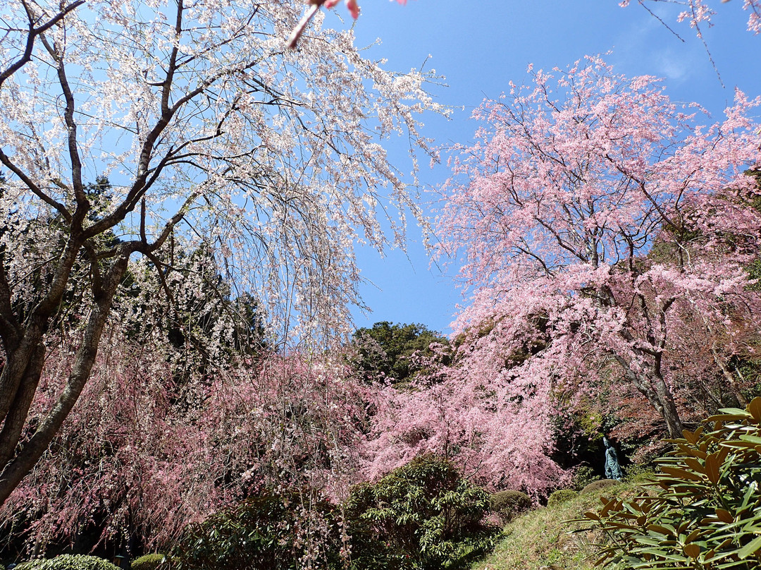 Nambaraji Temple-美祢市必去景点