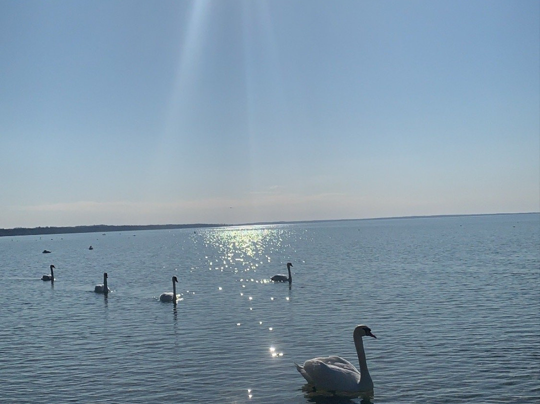 Lake Narach-Minsk Region必去景点