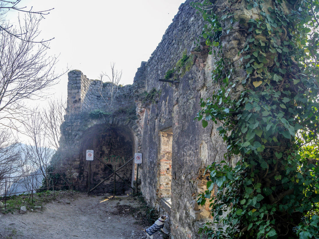 Ruderi Castello di Speronella a Rocca Pendice景点图片