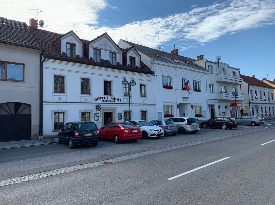 Hotel u Kapra主图