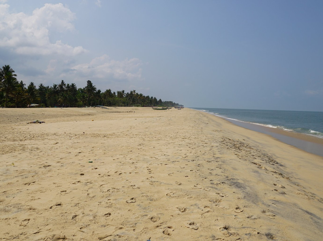 乌龟海滩阿瓦德酒店主图
