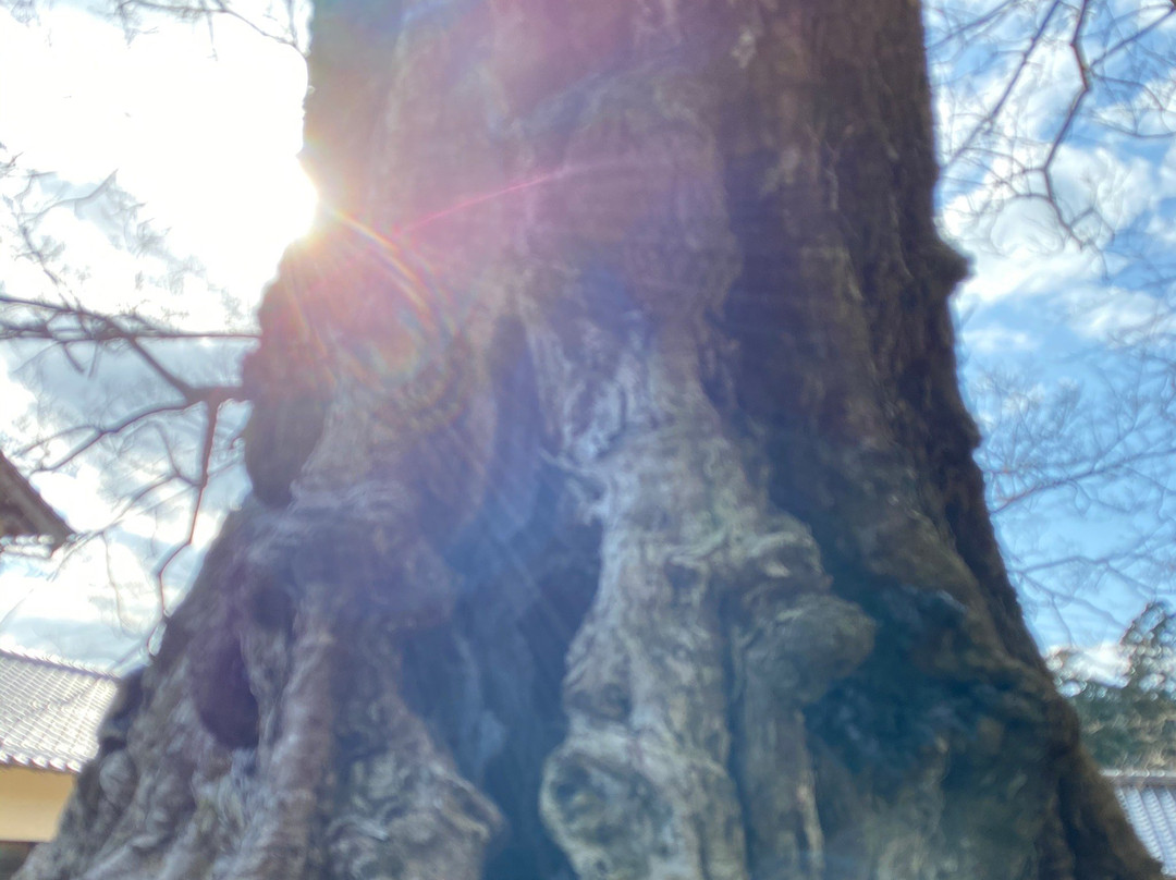 Inochinushi no Yashiro-出云市必去景点