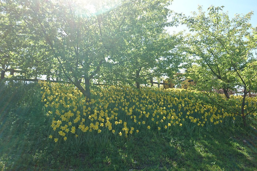 Kaminosekijoyama Historical Park-上关町必去景点