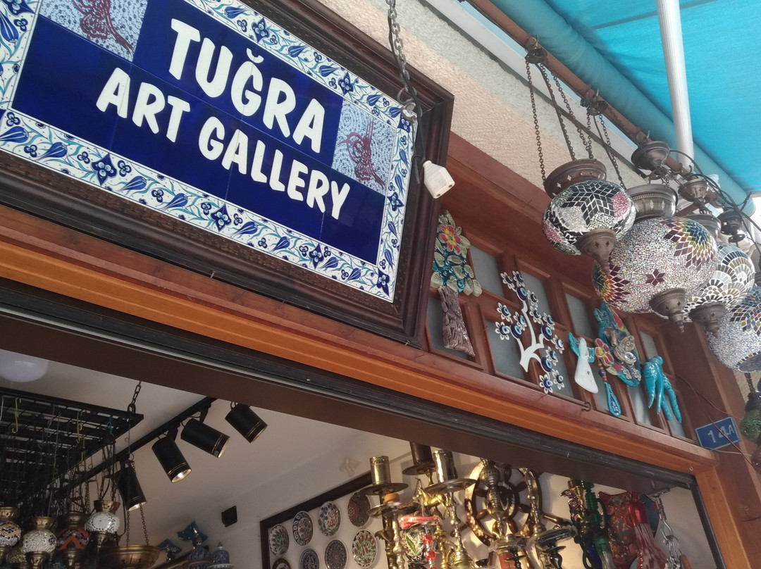 Tugra Art Gallery景点图片