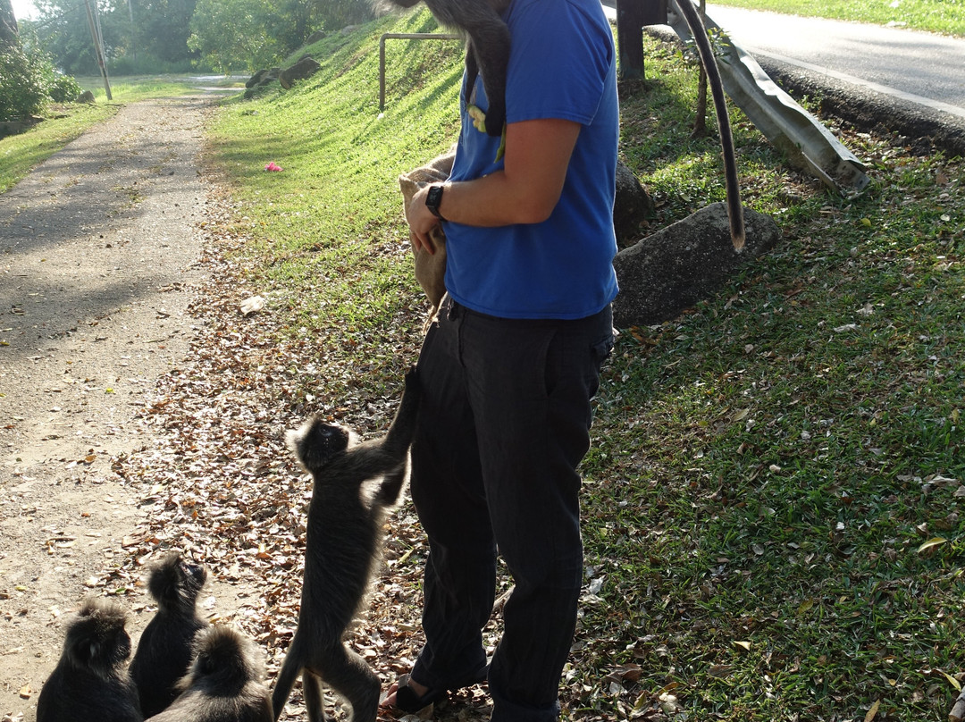 Bukit Melawati-瓜拉雪兰莪必去景点