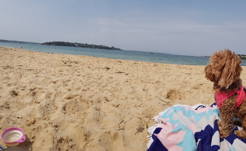 银滩-悉尼必去景点