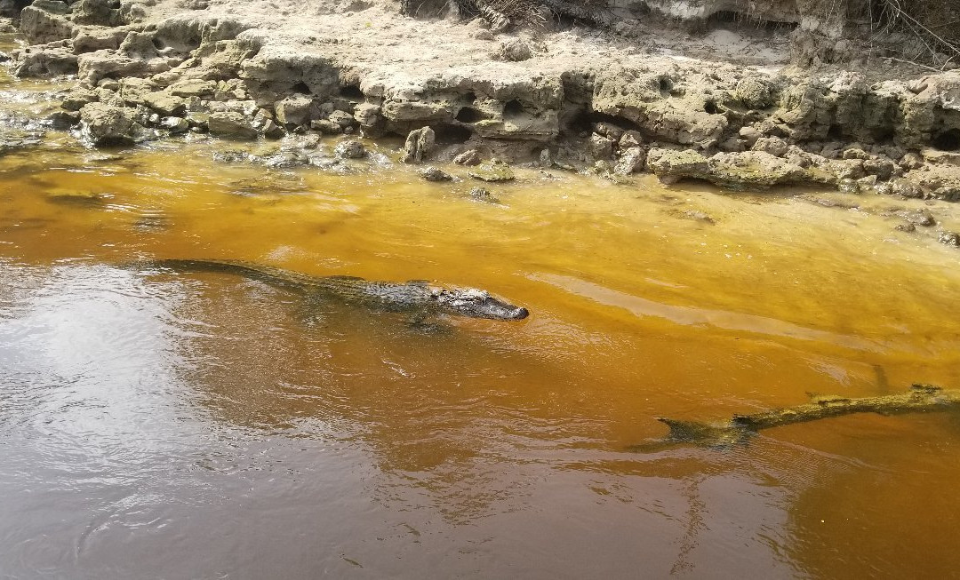 Up River Adventures-阿卡迪亚必去景点