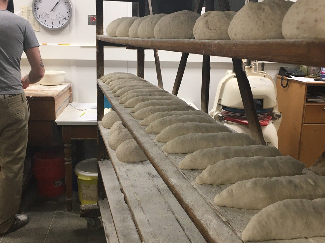 Moorsel België-Moorsel必去景点