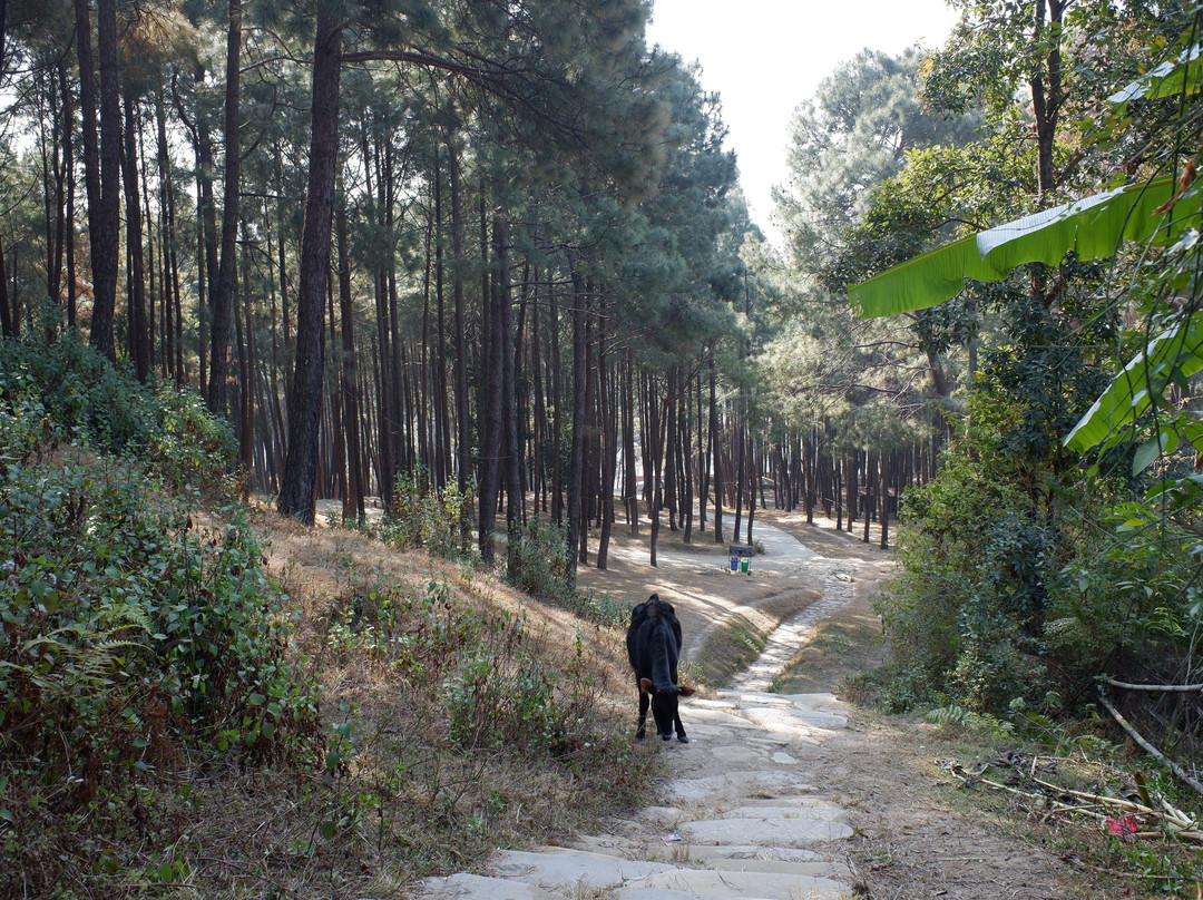 Changu Farm House主图