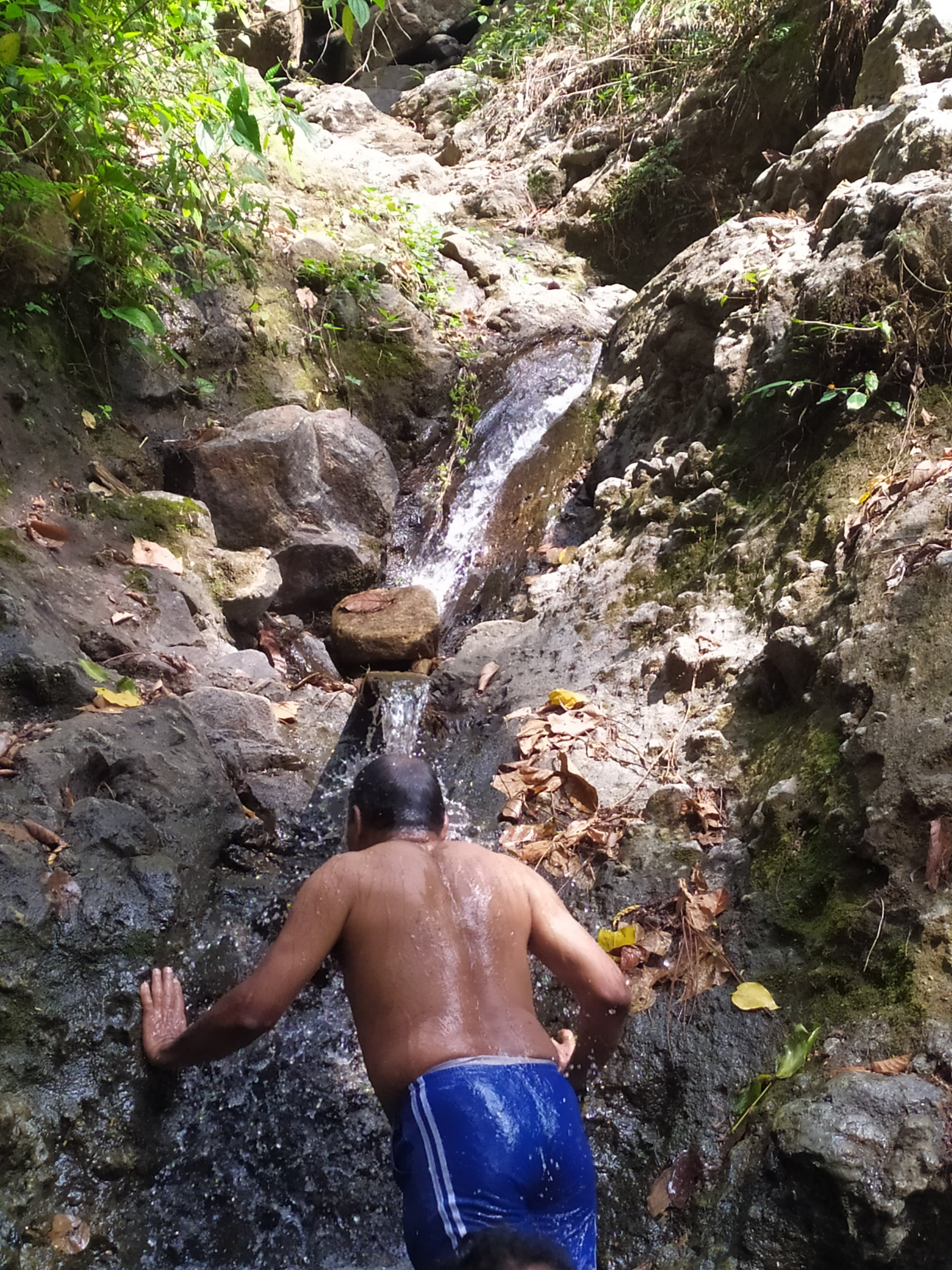 Natural Mystic Sanctuary-官方