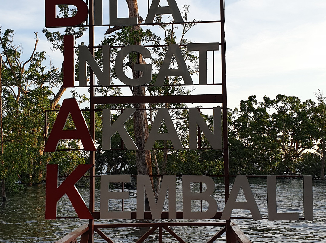 Ruar Mangrove Forest Park-Biak必去景点