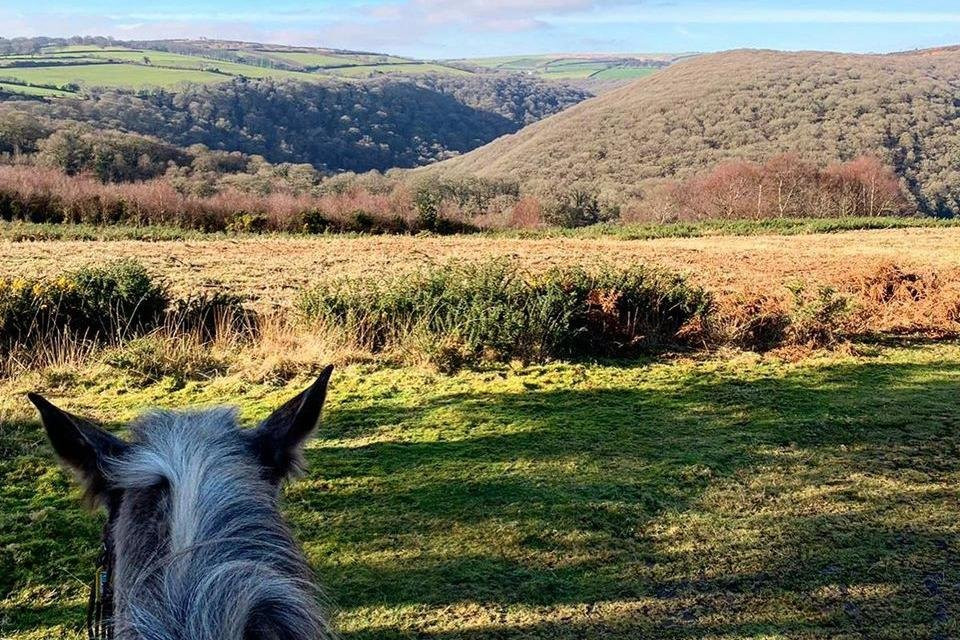 Exmoor Experience景点图片