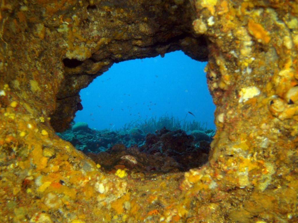 Ajòò dive!-Portoscuso必去景点