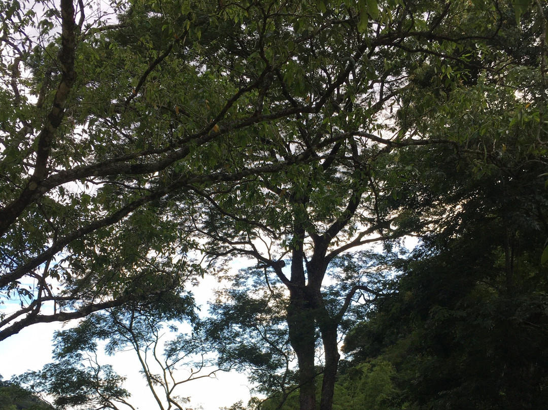 Aldeia Velha-Silva Jardim必去景点