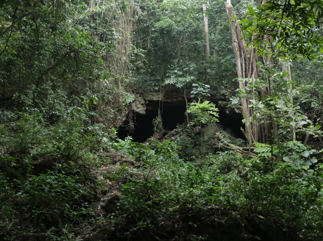 Maramagambo Forest景点图片