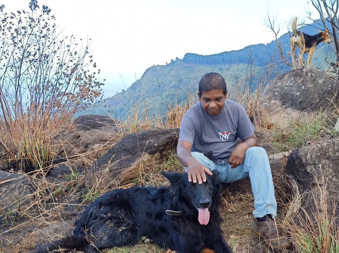 Ella Wildlife Village主图