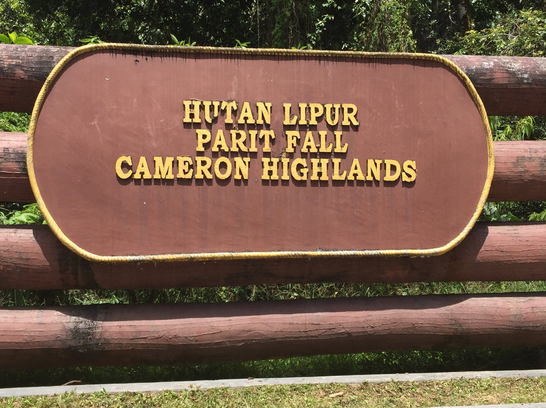 Parit falls-丹那拉塔必去景点