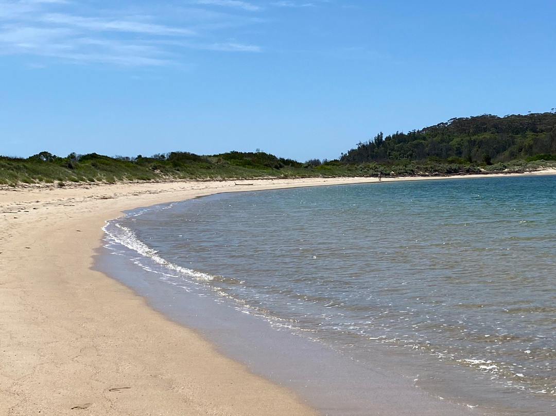 Broulee Beach景点图片