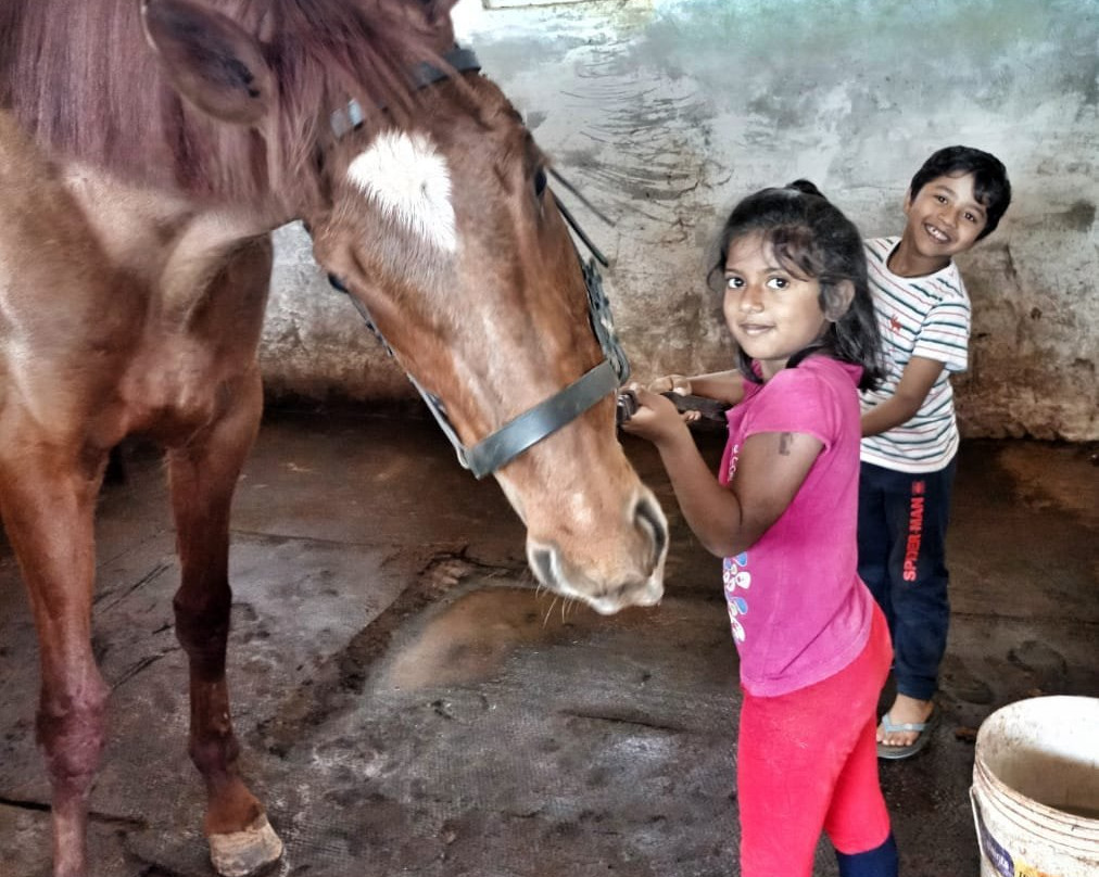 Stallions Valley Horse Riding Academy景点图片