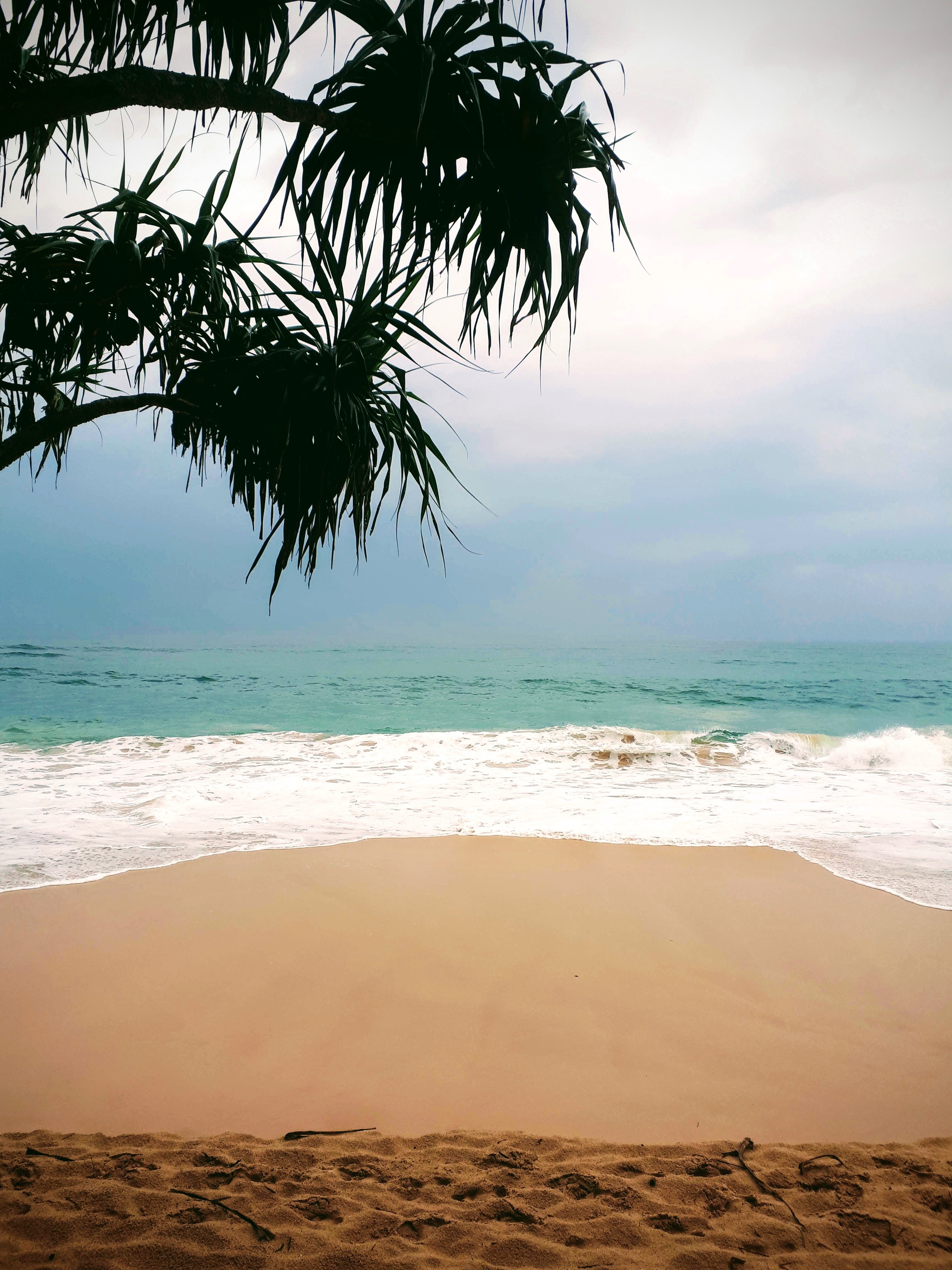 The Beach Cabanas Retreat & Spa-酒店景观
