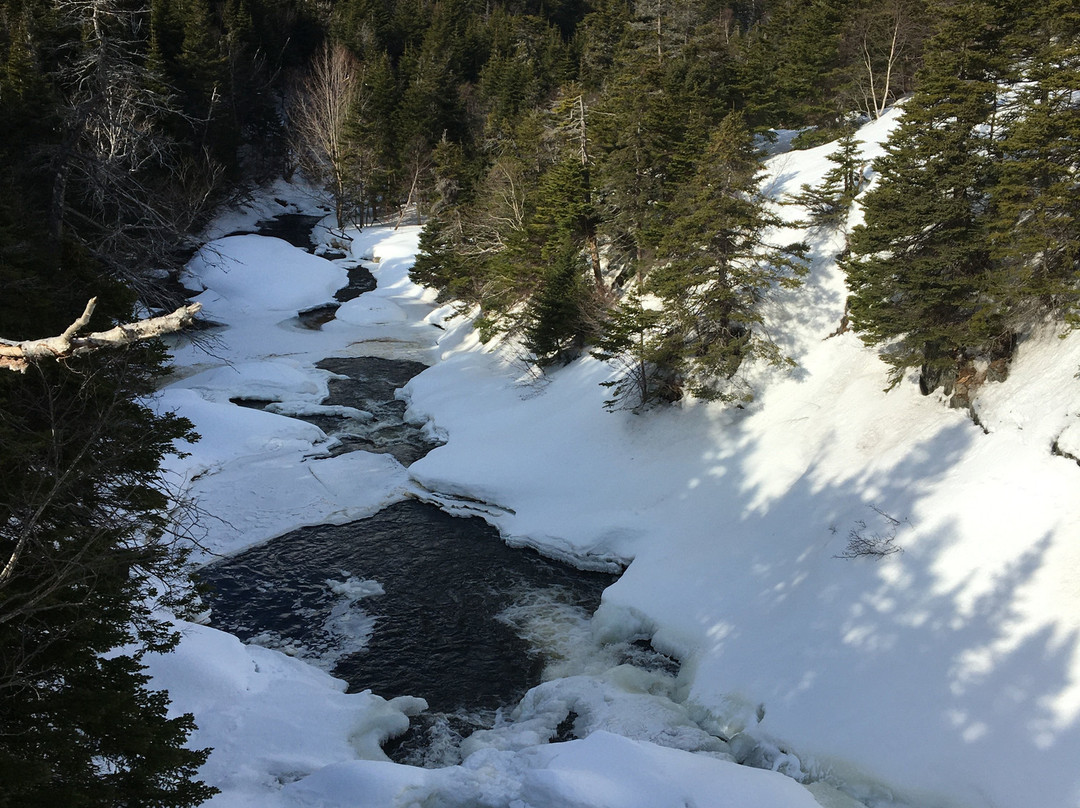 Bowring Park-圣约翰必去景点
